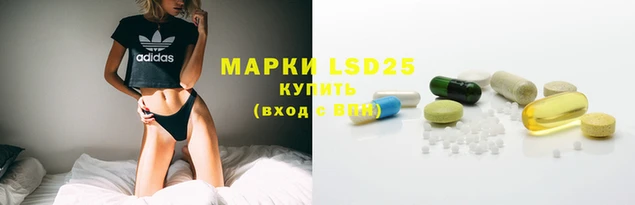 ECSTASY Аркадак