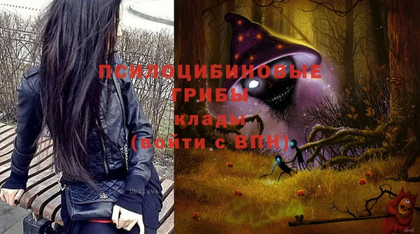 МДПВ Арсеньев